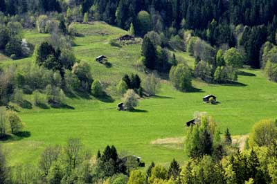 Paysages et faune de Hauteluce dans les Alpes en France. Photographies par Amar Guillen.