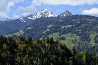 Paysages et faune de Hauteluce dans les Alpes en France. Photographies par Amar Guillen.