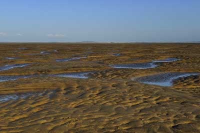 Landscapes of the coast of Charente-Maritime in France. Photographs by Amar Guillen.
