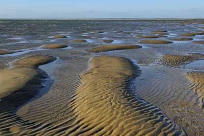 Landscapes of the coast of Charente-Maritime in France. Photographs by Amar Guillen.
