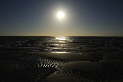 Landscapes of the coast of Charente-Maritime in France. Photographs by Amar Guillen.