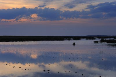 Landscapes of the coast of Charente-Maritime in France. Photographs by Amar Guillen.