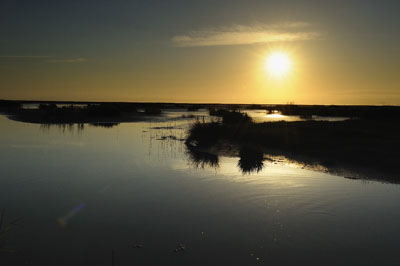 Landscapes of the coast of Charente-Maritime in France. Photographs by Amar Guillen.