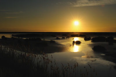 Landscapes of the coast of Charente-Maritime in France. Photographs by Amar Guillen.