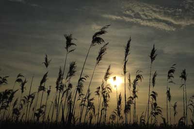 Landscapes of the coast of Charente-Maritime in France. Photographs by Amar Guillen.