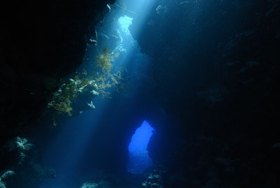 La grotte de Shaab Claudio en Mer Rouge. Photographies par Amar Guillen.
