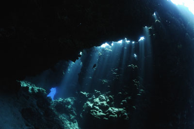 La grotte de Shaab Claudio en Mer Rouge. Photographies par Amar Guillen.