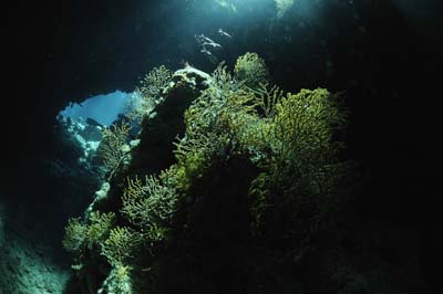 La grotte de Shaab Claudio en Mer Rouge. Photographies par Amar Guillen.