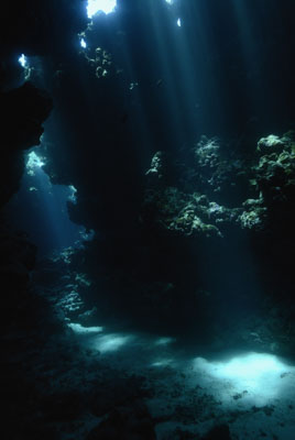 La grotte de Shaab Claudio en Mer Rouge. Photographies par Amar Guillen.