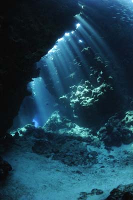 La grotte de Shaab Claudio en Mer Rouge. Photographies par Amar Guillen.