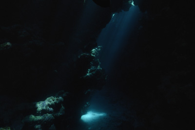 La grotte de Shaab Claudio en Mer Rouge. Photographies par Amar Guillen.