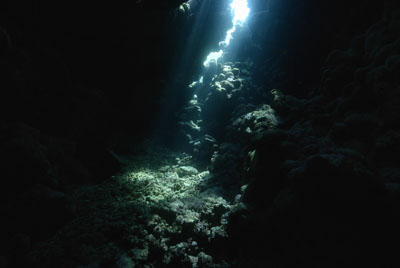 La grotte de Shaab Claudio en Mer Rouge. Photographies par Amar Guillen.