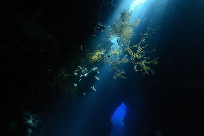 La grotte de Shaab Claudio en Mer Rouge. Photographies par Amar Guillen.