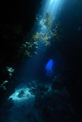 La grotte de Shaab Claudio en Mer Rouge. Photographies par Amar Guillen.