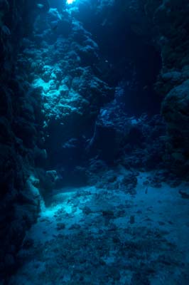 La grotte de Shaab Claudio en Mer Rouge. Photographies par Amar Guillen.