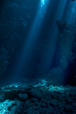 La grotte de Shaab Claudio en Mer Rouge. Photographies par Amar Guillen.