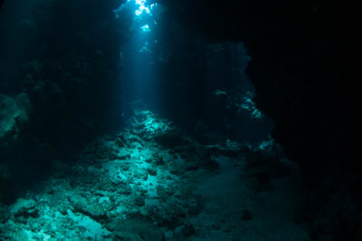 Les fonds marins de Saint John en Mer Rouge en Egypte. Photographies par Amar Guillen.