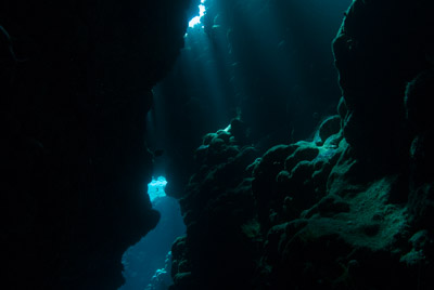 Les fonds marins de Saint John en Mer Rouge en Egypte. Photographies par Amar Guillen.