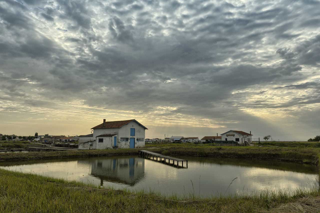 A photo that required  days waiting for the best weather conditions: a swampy area near  Royan in Charente-Maritime.