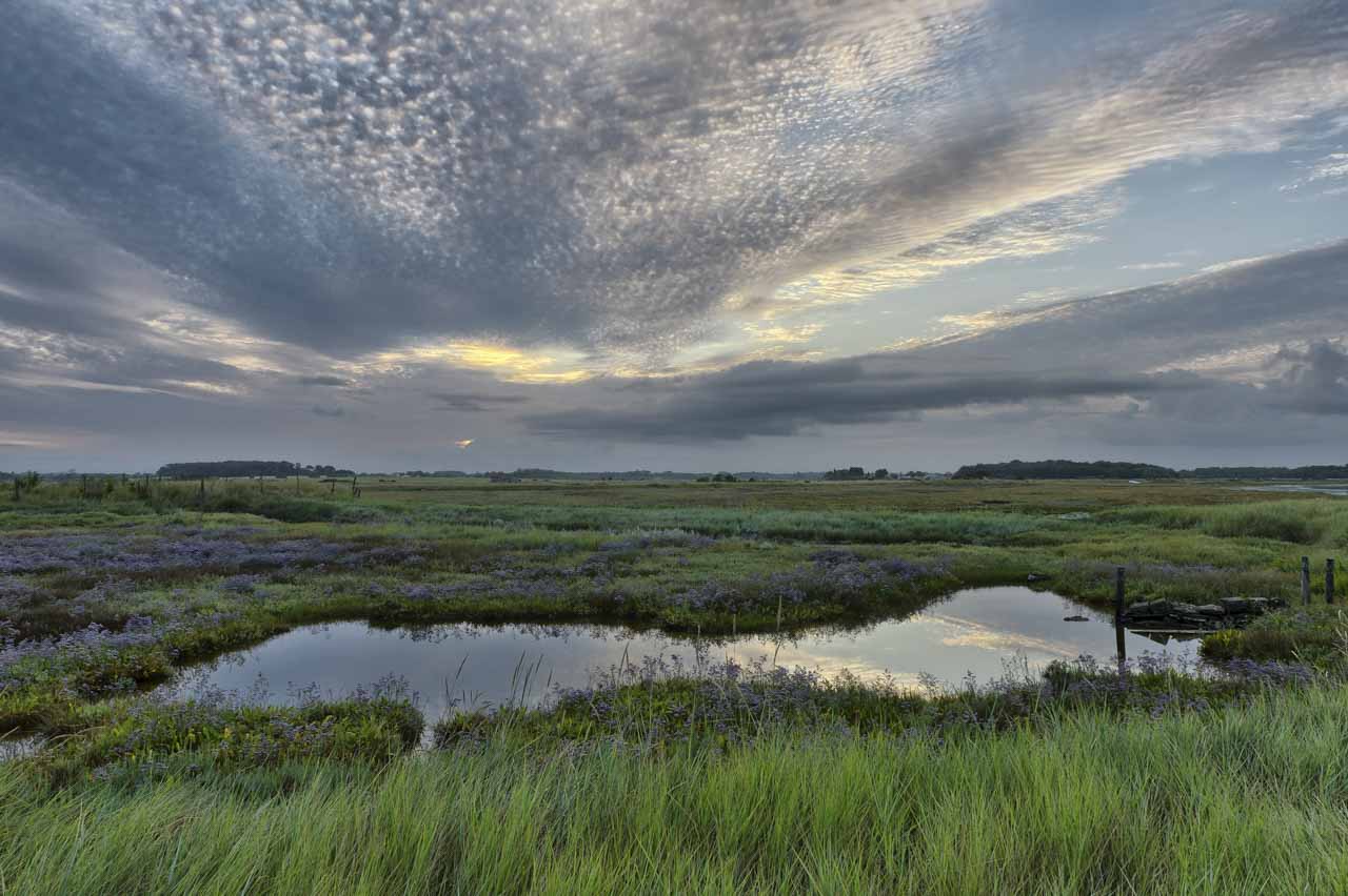 Une photo qui m'a demandé des jours d'attente pour avoir les meilleures conditions météo : une zone marécageuse dans le pays royannais en Charente-Maritime.