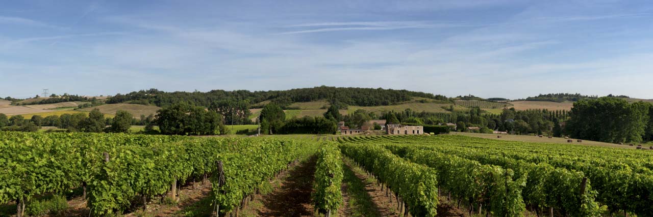 Some pictures requires to know how to prepare compositions and  frames like this vineyard.