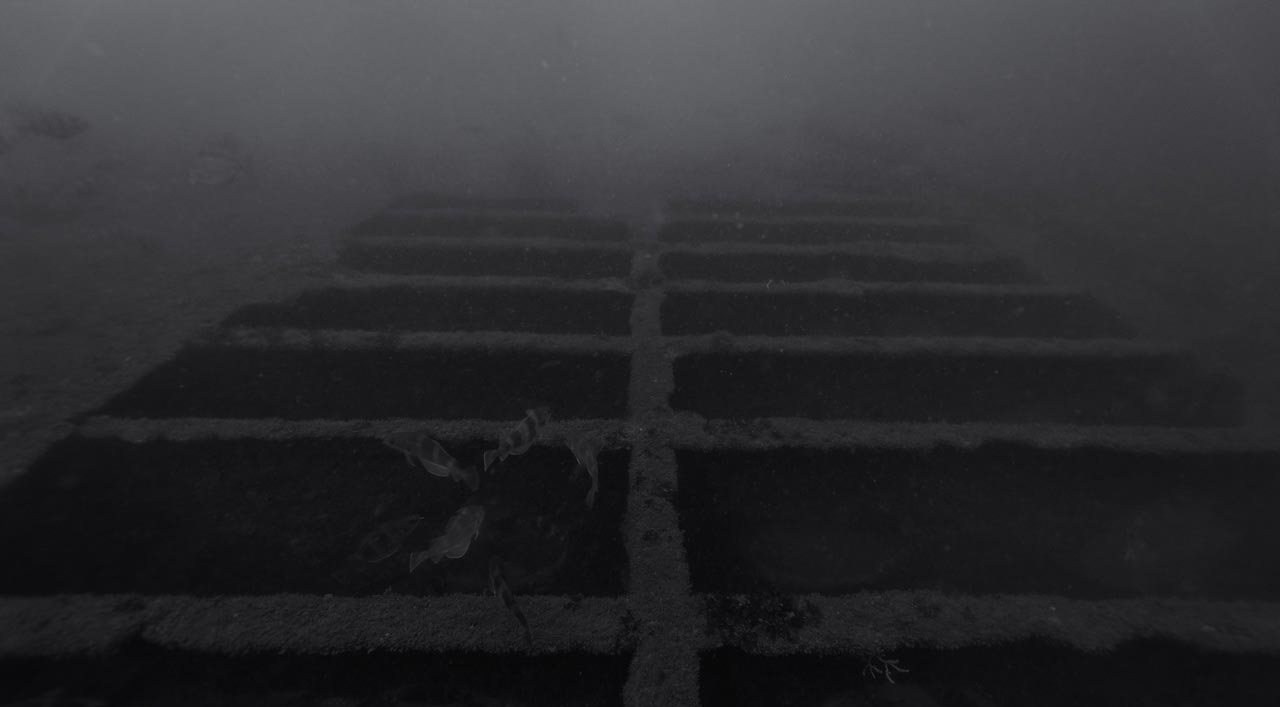 The wreck of Recoin off the coast of Oleron island in Charente-Maritime, France, Atlantic ocean.