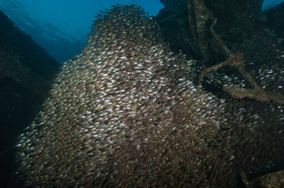 L'épave du Krisoula K. en Mer Rouge. Photographies par Amar Guillen.