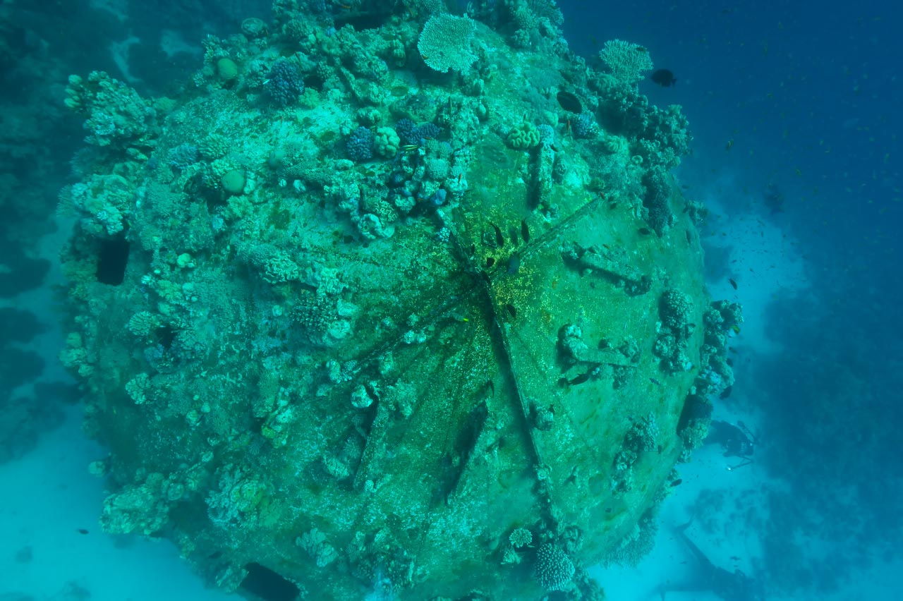 Plongée sur Précontinent 2 en Mer Rouge au Soudan.