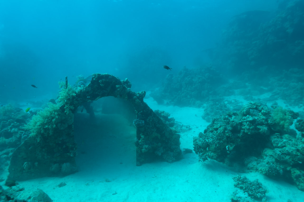 Plongée sur Précontinent 2 en Mer Rouge au Soudan.