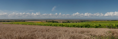 Landscapes of the coast of Gironde Estuary in Charente-Maritime. Photographs by Amar  Guillen.