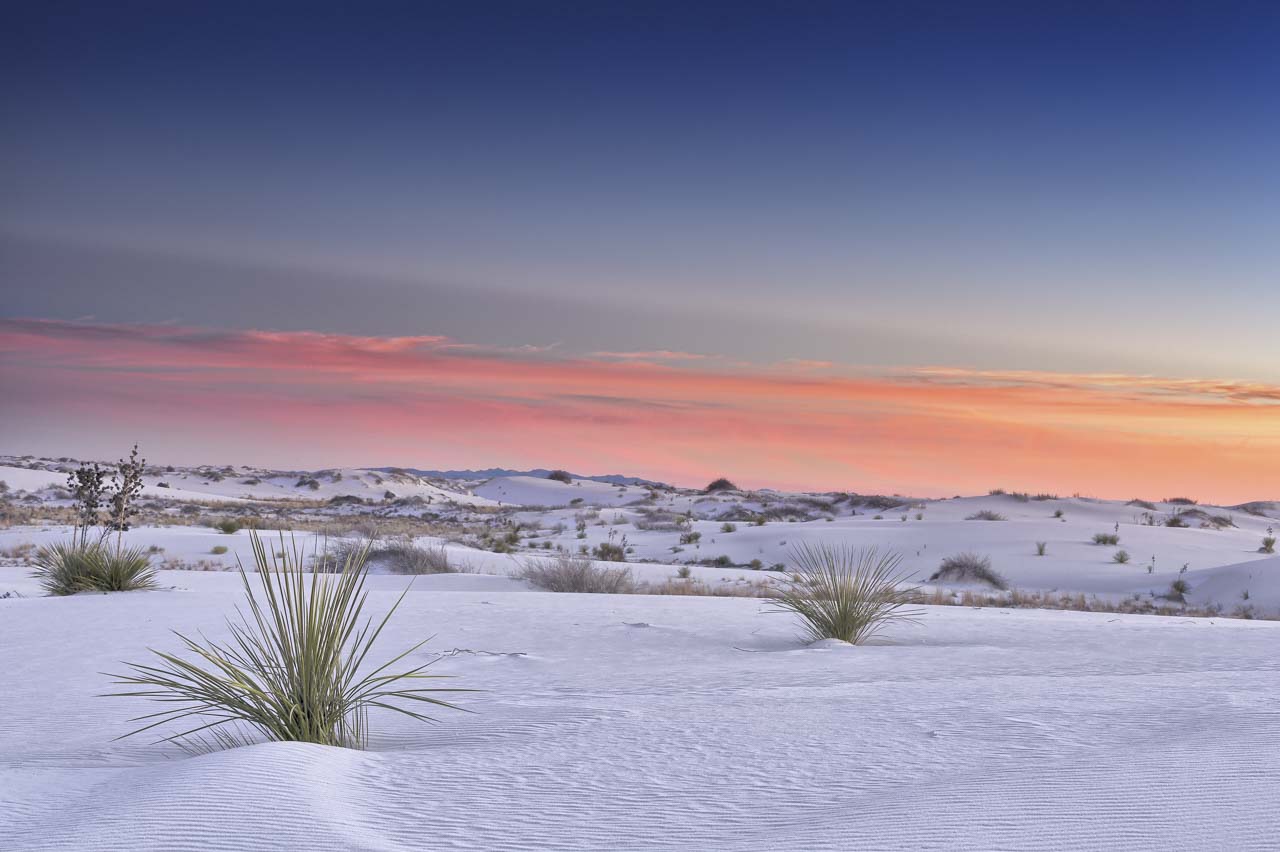 This photo taken in the Chihuahuan Desert inspired me tranquility and wholeness with the sweet tones.