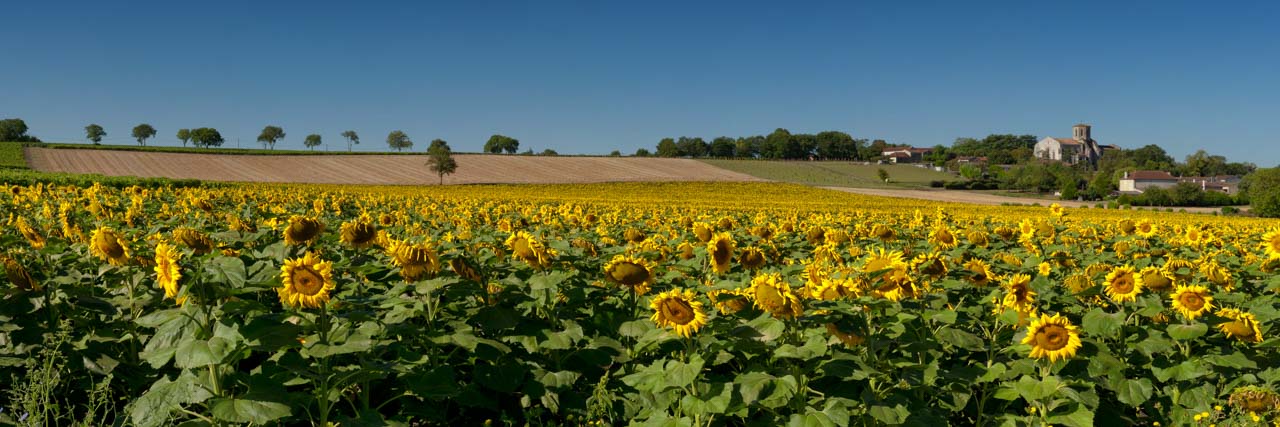 Cette photo panoramique a été créée par assemblage de 4 clichés.