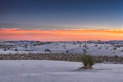 Photographs of the White Sand Dunes desert in New Mexico, USA.