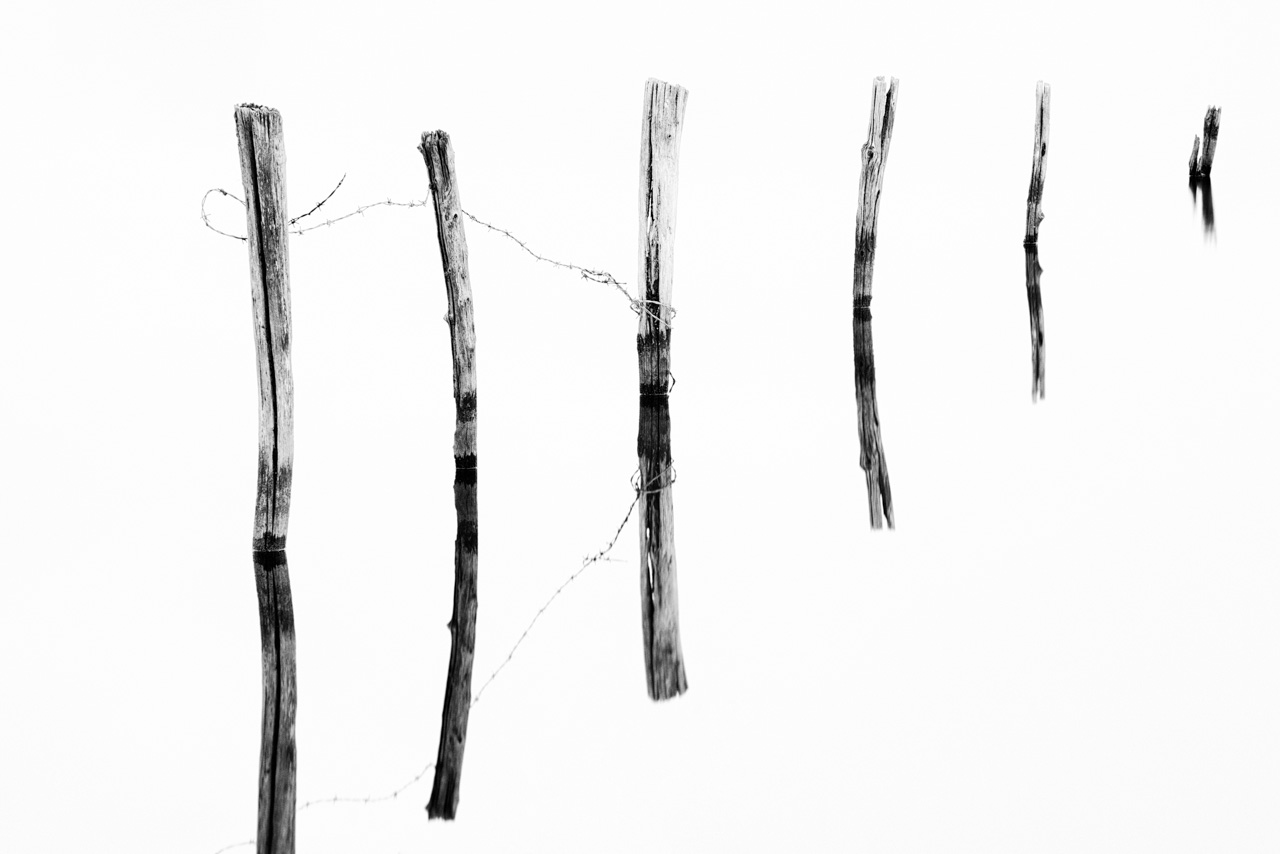 Photograph in Black and White of Poles planted in a Pond. Conceptual Photograph.