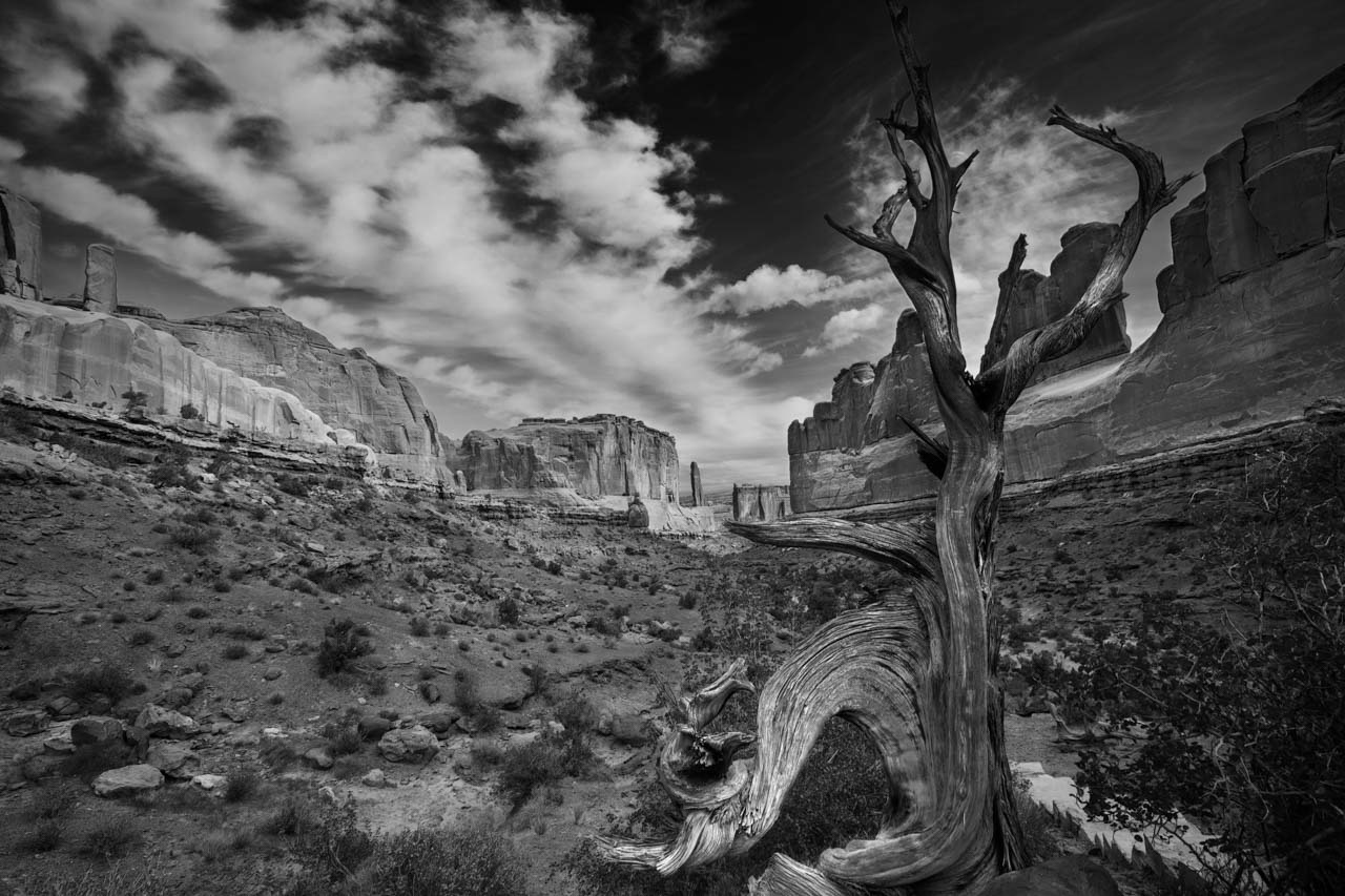 Landscape in black and white of Arches National Park in US.