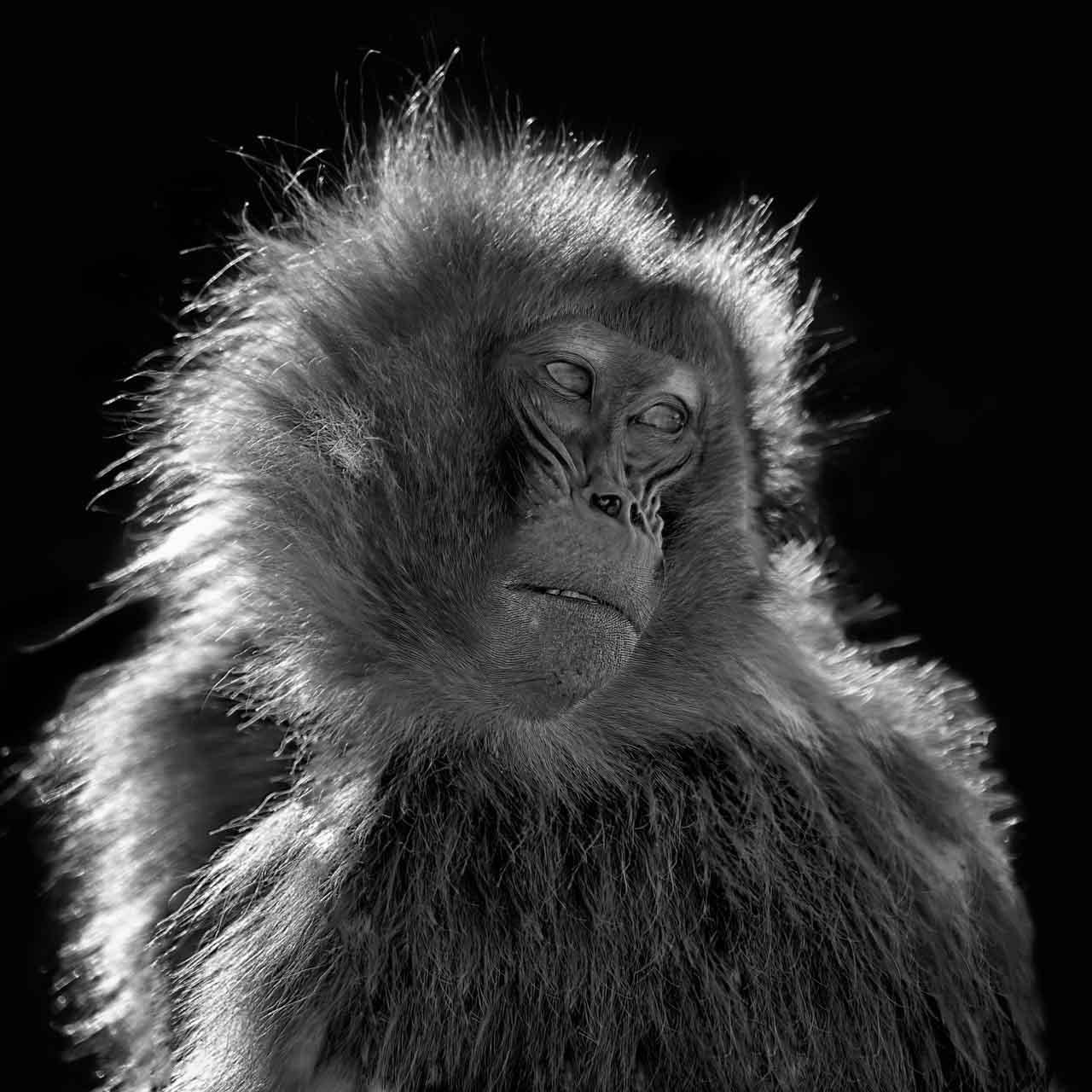 Exemple d'une ligne imaginaire en photographie. Le regard hors-champ.