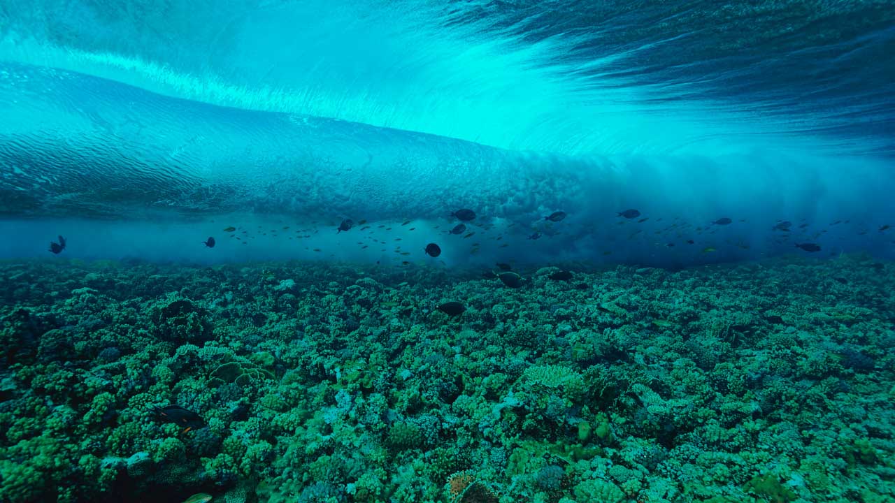 Vague et rouleur de la mer Rouge prise sous l'eau