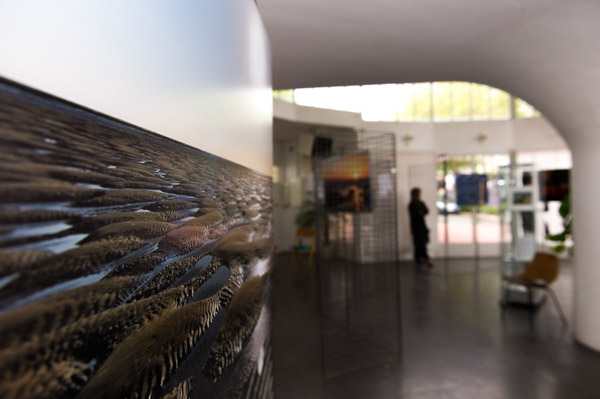 Exhibition de la Charente-Maritime à Royan. Photographies par Amar Guillen.