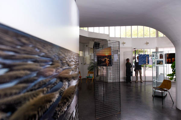 Exhibition de la Charente-Maritime à Royan. Photographies par Amar Guillen.