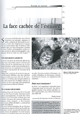Article paru dans le magazine L'estuarien de juillet 2013