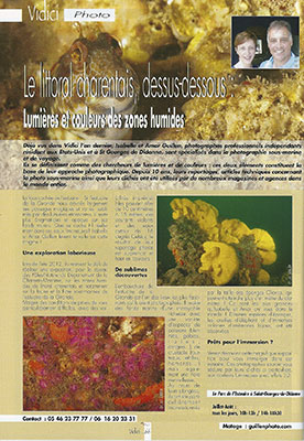 Article paru dans le magazine Vidici en juillet 2013