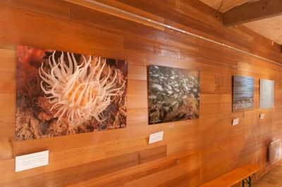 Exposition Dessus Dessous : Le littoral Charentais. Photographies par Amar Guillen.