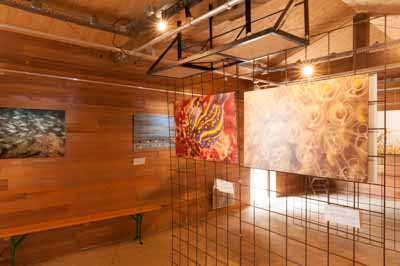 Exposition Dessus Dessous : Le littoral Charentais. Photographies par Amar Guillen.