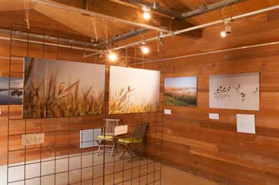 Exposition Dessus Dessous : Le littoral Charentais. Photographies par Amar Guillen.