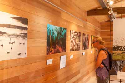Exposition Dessus Dessous : Le littoral Charentais. Photographies par Amar Guillen.