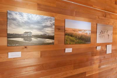 Exposition Dessus Dessous : Le littoral Charentais. Photographies par Amar Guillen.