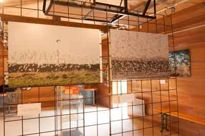 Exposition Dessus Dessous : Le littoral Charentais. Photographies par Amar Guillen.
