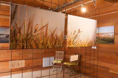 Exposition Dessus Dessous : Le littoral Charentais. Photographies par Amar Guillen.