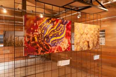Exposition Dessus Dessous : Le littoral Charentais. Photographies par Amar Guillen.