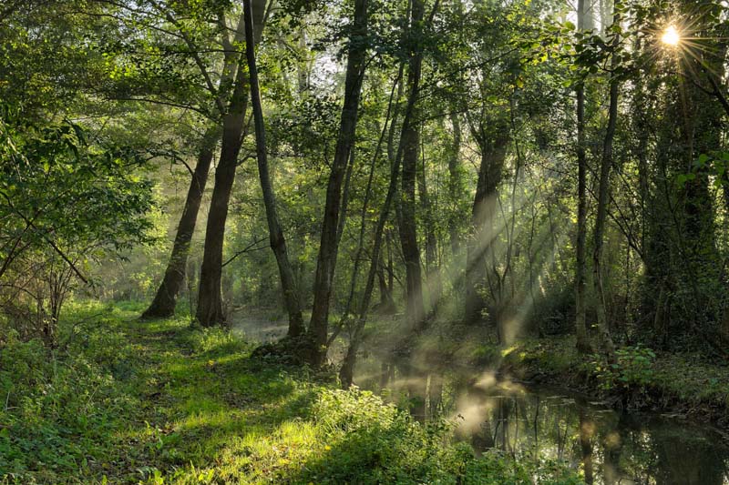 Paysages de Haute-Saintonge